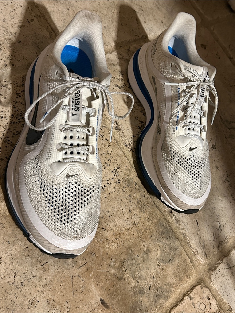 Nike Pegasus Premium Men’s Running Shoes - White with Blue Accents
